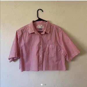 Cropped collared tee